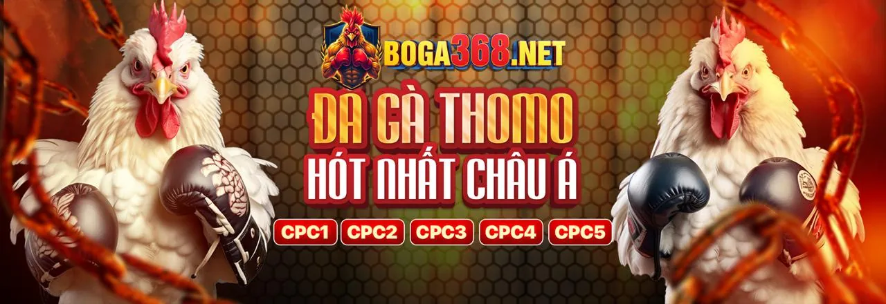 Đấu trường đá gà trực tuyến tại f1686 tặng 88k